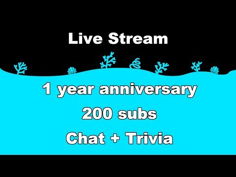 1 year anniversary livestream!