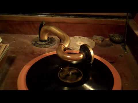 COLUMBIA PHOTO PLAYERS BEN SELVIN VIVA-TONAL - DARK NIGHT - ROARING 20's VICTROLA 8-30