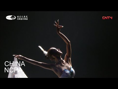 Dance "Shangrila-Dynamic Yunnan"-YANG Liping
