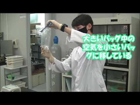 電気電子工学科 環境応用化学科　ナノ材料化学研究室（丸尾研究室） 紹介動画