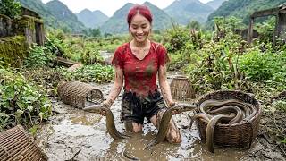 A Girl's Lucky Day: Catching Massive Giant Eels in the Swamp to Sell at Market - Wilderness Survival