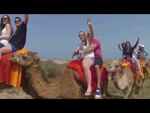 El paseo en Dromedario - Momentazos Saidia Festival ´15