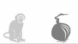 10cc - The Monkey And The Onion