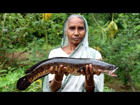 Big Fish Recipe Cooking by our Grandma | Traditional Big Sole Fish Recipes | Village Food