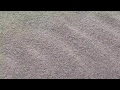 Formation of wind ripple due to the movement of ...
