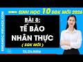 Bài 8. Tế bào nhân thực