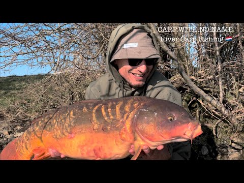 River Carp Fishing Vlog #9 Spring carp fishing on the River 2022 - PART 1 of 3 (ENGLISH)