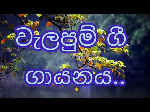 වැලපුම් ගීත නිවැරදි නාදමාලාවට ගයමු/මොහු හැර වෙන දං/අනාඝාතාත්මක ගීත ගායනය/සාමාන්‍යපෙළ /ජන කවි ගායනය