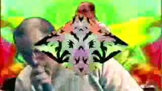 Dan Deacon &quot;The Crystal Cat&quot;