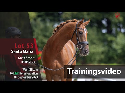 ONLIVE Herbst-Auktion Trainingsvideo Lot 53 Santa Maria Stute v. Selectric - Ehrenpreis