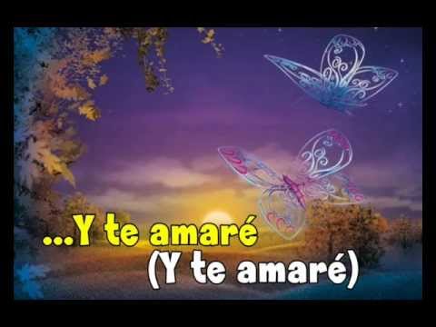 Jose Alberto El Canario - Mi gran amor te dí (con letra)