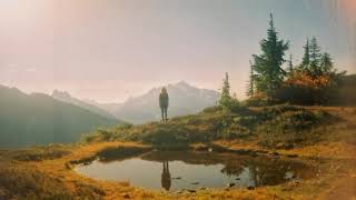 Florist - Glowing Brightly. Sub. Español