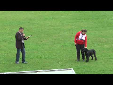 082 07 33 Cc Jarmila Kadlecova   M Woo Doo Hanno Veto 96 90 91 A 277 sg 8 ISPU 2013