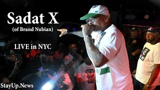 Sadat X (of Brand Nubian) - Punks Jump Up to Get Beat Down/All for One [LIVE in NYC]