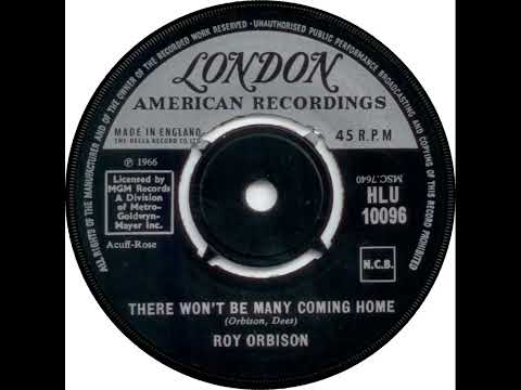 UK New Entry 1966 (379) Roy Orbison - There Won't Be Many Coming Home