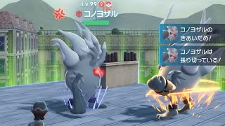 ハナちゃんVSレイド用コノヨザル リアルファイトさせてみた