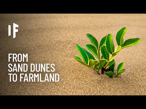 What If We Could Turn Deserts Into Farmland?