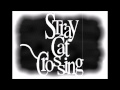 Stray Cat Crossing- Red Room