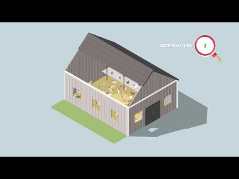 AMA - Was steht auf dem Ei?