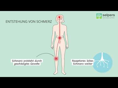 How pain arises (specialist explains)