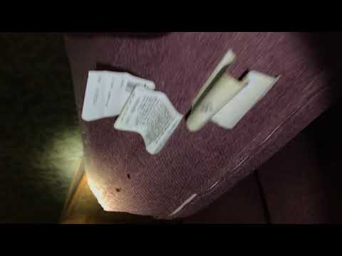 Couch Cushions Cockroaches in Plainfield, NJ