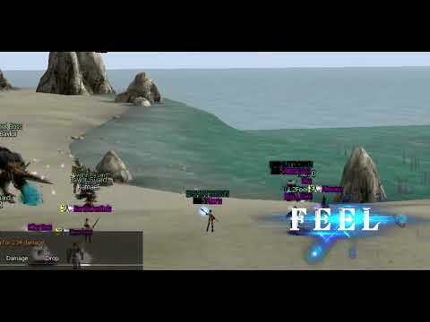 L2Feel Gallery 02