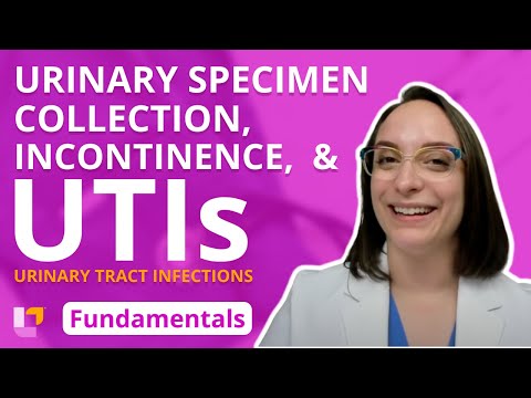 Urinary Specimen Collection, Incontinence, and UTI's - Fundamentals of Nursing | @LevelUpRN