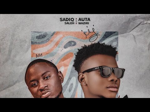 Sadiq Saleh - Ba Hauka Ne Ba (Feat. Auta Waziri)