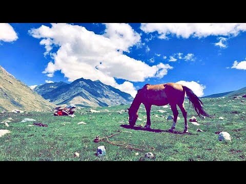 #Qarsak With Panjshir Nature view :قرصک  طاهر شباب با منظره های دیدنی پنجشیر#