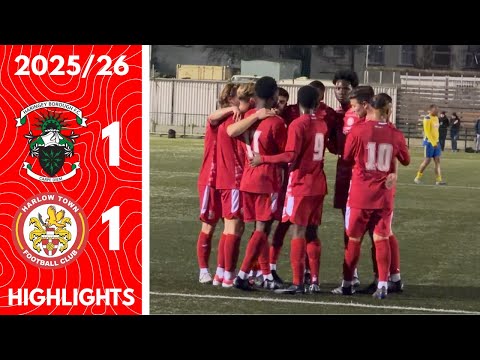 Dramatic End As Haringey Clinch Draw | Haringey Borough 1-1 Harlow Town Highlights 