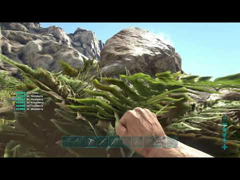 Ark Griffin Taming Fail and Win