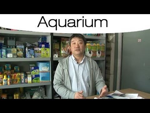 comment regler pompe aquarium