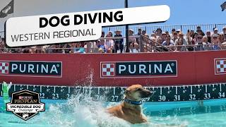 Mayhem Menang Dramatis di Dog Diving Western Regional 2026