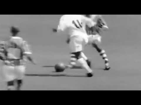 Pele Gol de placa (Restruction)