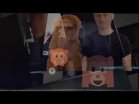 Identitetris - Pavlidis (mit Käpt Peng & Lemur) v4.0 by Schattenplattenspieler