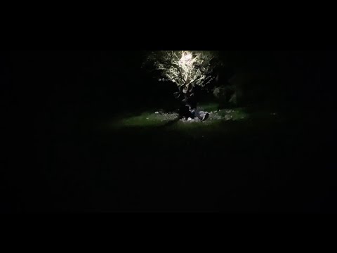Video thumbnail for ERREUR : Poison