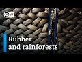 How car tires drive deforestation | DW Documentary