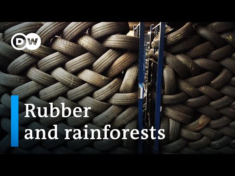 How Car Tires Drive Deforestation