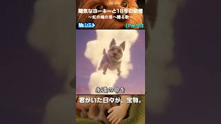 Part5｜無敵になったヒーロー｜陽気なヨーキーと18年の記憶【Mr.シュミット】 #愛犬との暮らし #AIオリジナルソング #ペットロス