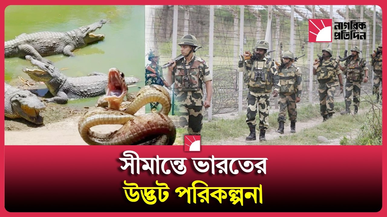 ভারতের সীমান্তে সাপ ও কুমির মোতায়েন!