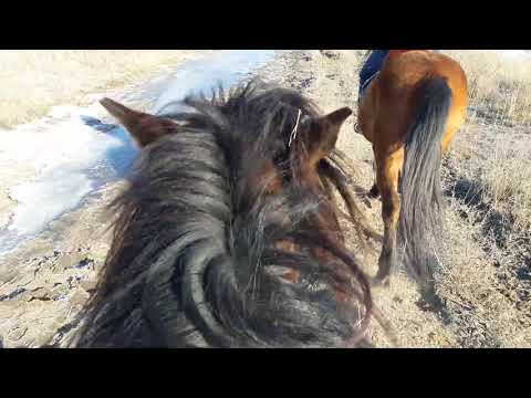 Атбегілер ШҚО,Зайсан ауданы,Біржан ауылы