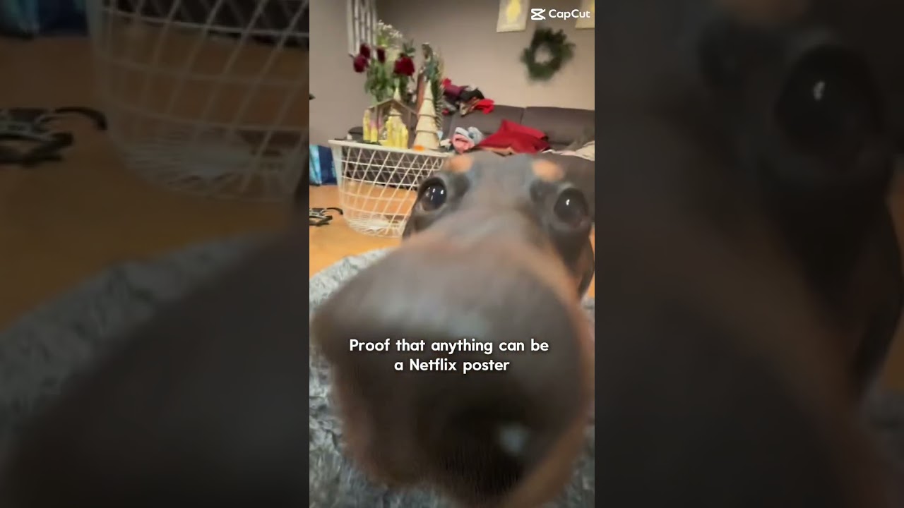 We are backkkkk #shorts