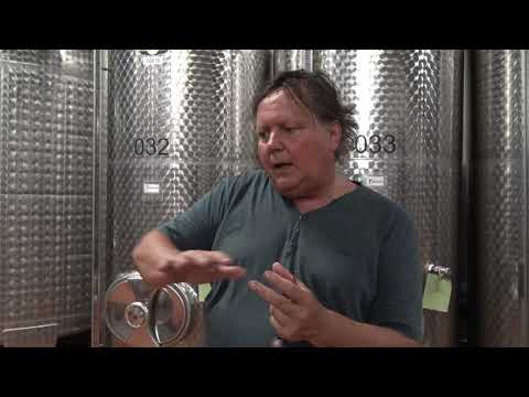 Weintaxi Wiesbaden - Hessische Staatsweingüter Kloster Eberbach - Einblick in den Steinberg Keller