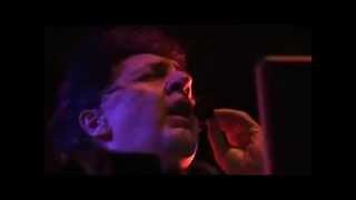 Picchio dal Pozzo   Off live in Genoa