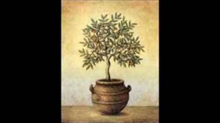 green olive tree - Untitled Track