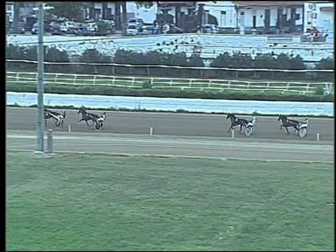 Trotto 03/09/2015 - 1° prova di riqualifica