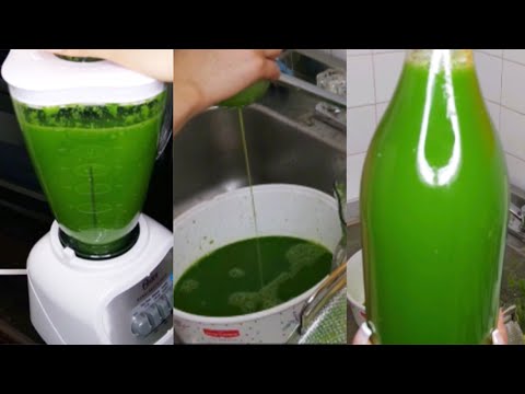 HOW TO MAKE GREEN JUICE WITHOUT A JUICER | CHEAP & EASY