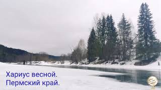 Рыбалка в пермском крае ранней весной