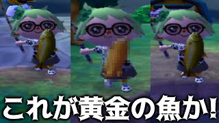 【とび森】黄金の魚がこんなに釣れるなんて！！【とびだせどうぶつの森】