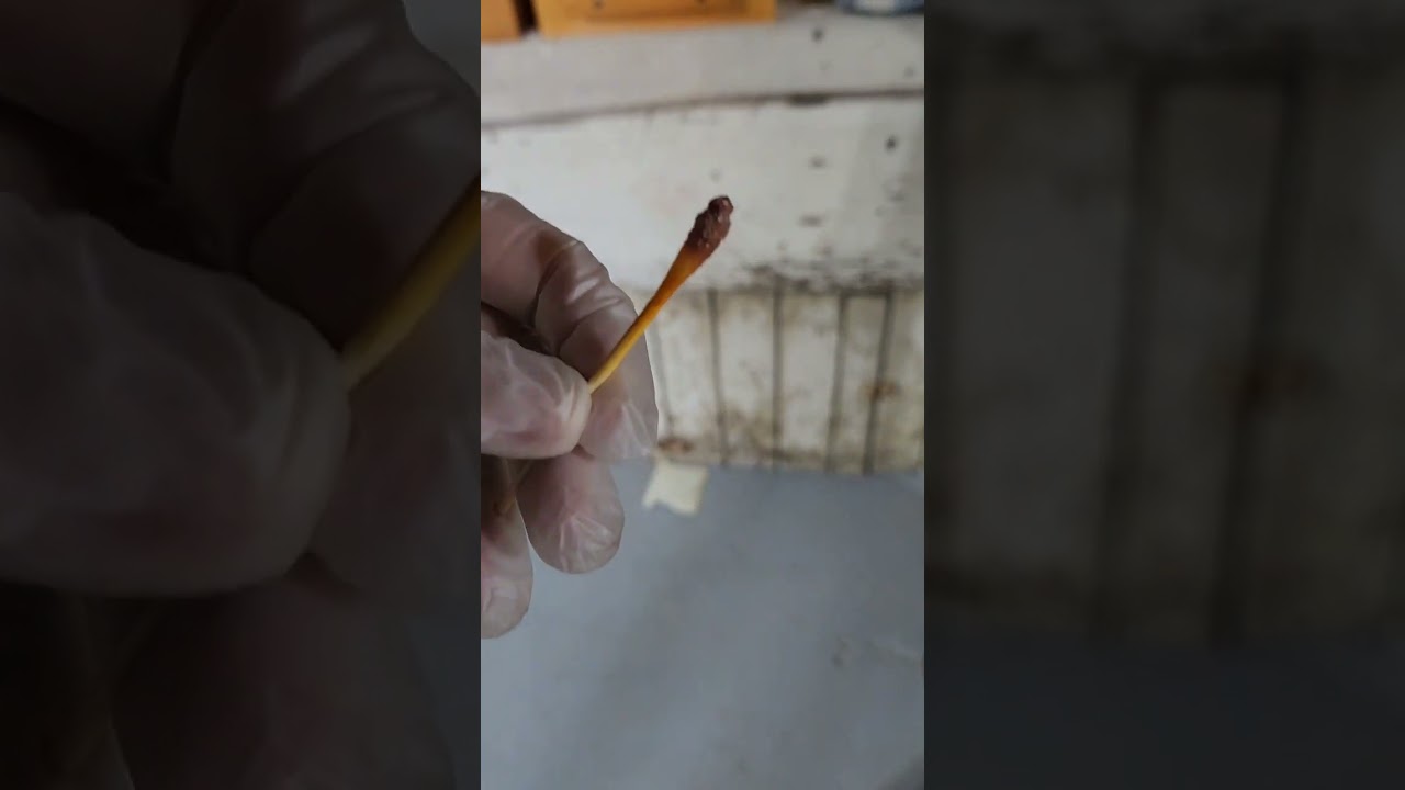 Testing for Lead! Don't skip this step! #furnitureflip